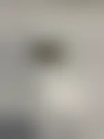 CustomShotGlassNow.com