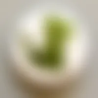 CustomShotGlassNow.com