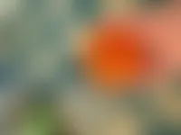CustomShotGlassNow.com
