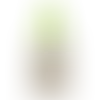 Lime Green - Custom Shot Glass Now