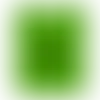 Lime Green - Custom Shot Glass Now