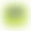 Lime Green - Custom Shot Glass Now