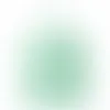 Light Mint Green - Custom Shot Glass Now
