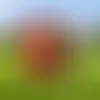 Custom Curry Yard Sign