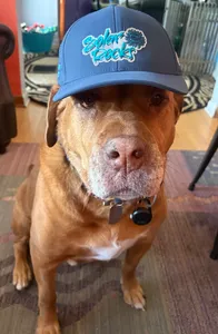 CustomShotGlassNow.com - Full Color TPU