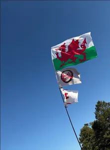 CustomShotGlassNow.com - Rectangle Flag