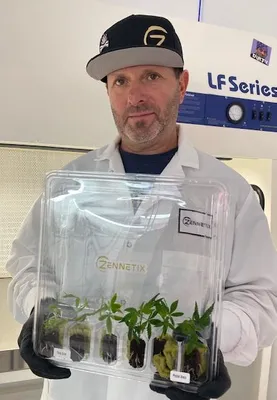 In the tissue culture lab