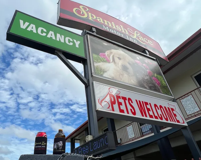 CustomShotGlassNow.com - Full Color Collapsible