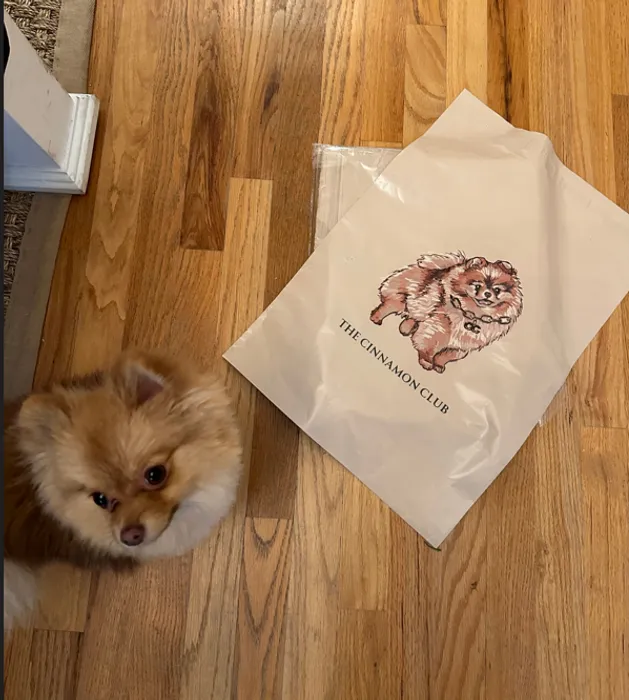 CustomShotGlassNow.com - Custom Poly Mailer