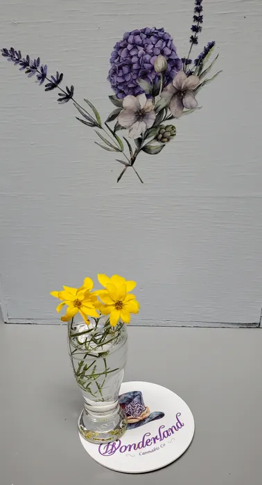 CustomShotGlassNow.com - Pulpboard Coasters