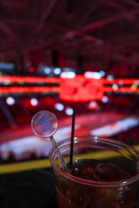 CustomShotGlassNow.com - Transparent Stir Sticks