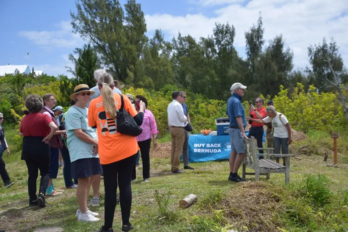 CustomShotGlassNow.com - Custom Rectangle Table Covers