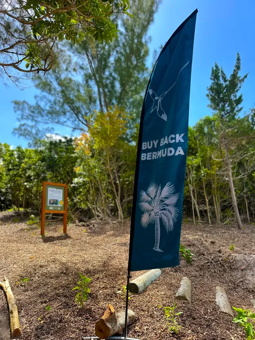 CustomShotGlassNow.com - Feather Flag