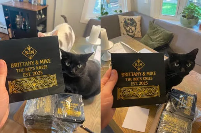 CustomShotGlassNow.com - Custom Foil Stamped Beverage Napkin