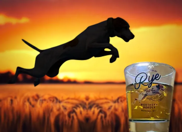 CustomShotGlassNow.com - Clear Glass Shot Glass