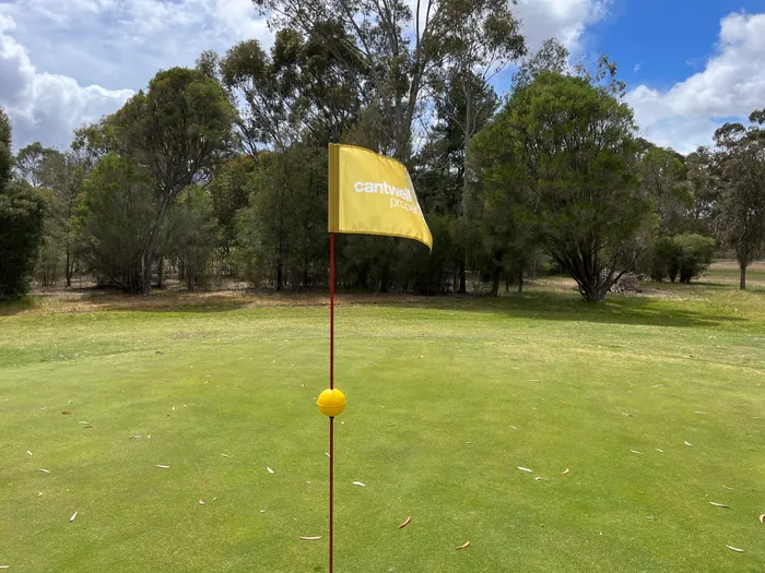 CustomShotGlassNow.com - Golf Flag
