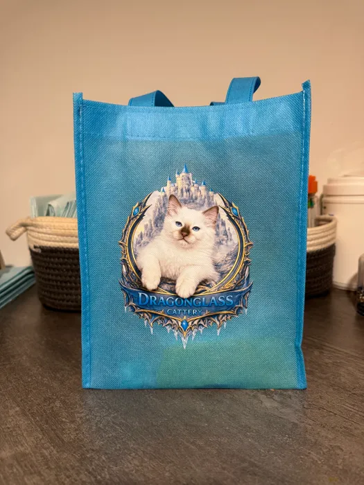 CustomShotGlassNow.com - Custom Small Gift Tote Bag