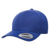 YP Classics Premium Curved Visor Snapback 