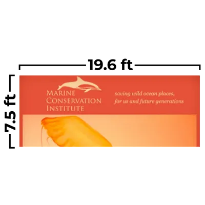 19.6 x 7.5ft - Custom Shot Glass Now