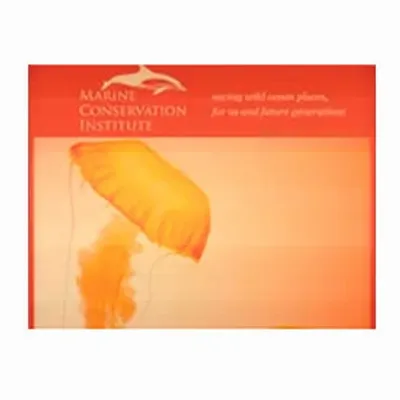 None - Custom Shot Glass Now