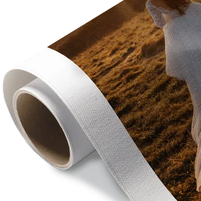 Rolled Canvas Rolled Canvas - Custom Shot Glass Now