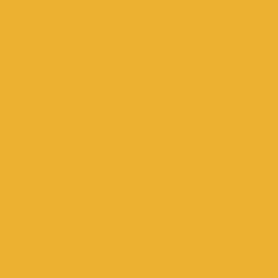 Orange - Custom Shot Glass Now