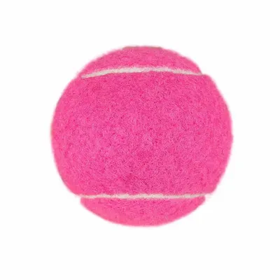 Fuchsia - Custom Shot Glass Now