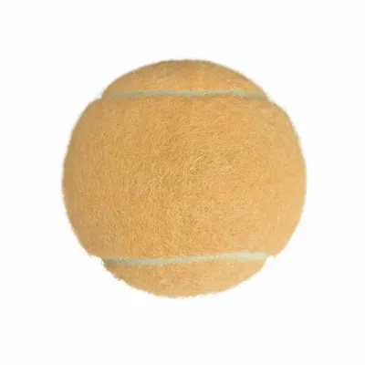 Rice Orange - Custom Shot Glass Now