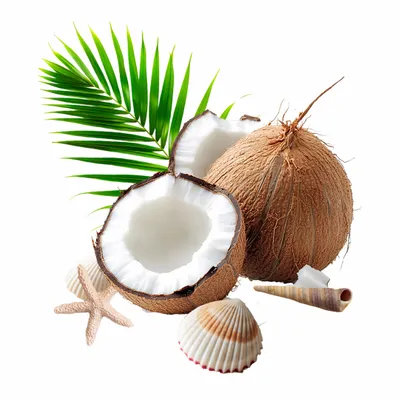 Coconut - Custom Shot Glass Now