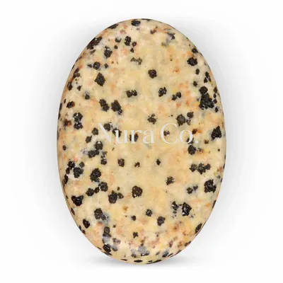 Dalmatian - Custom Shot Glass Now