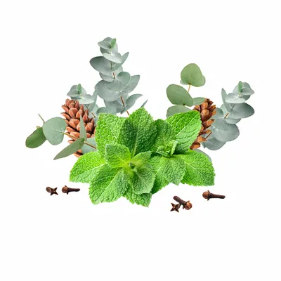 Eucalyptus & Mint - Custom Shot Glass Now