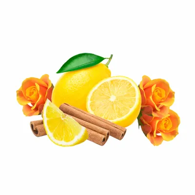 Amber - Custom Shot Glass Now