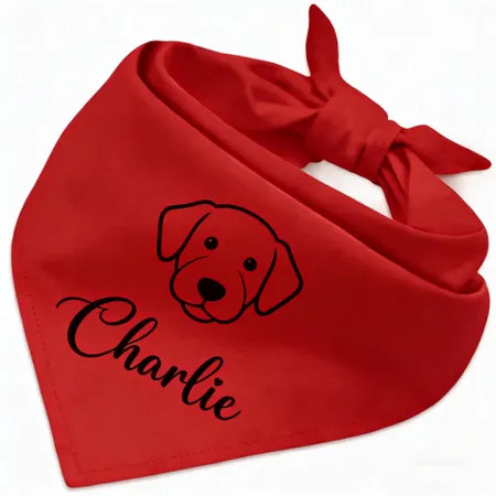 Cotton Bandanas - Custom Shot Glass Now