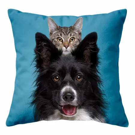Square Pillows - Custom Shot Glass Now