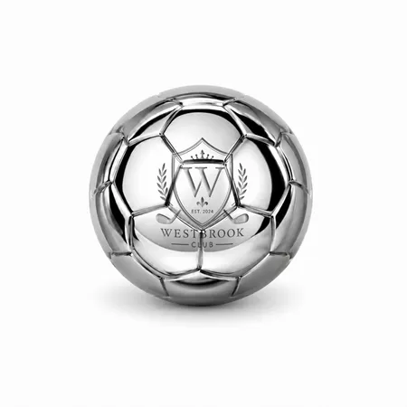 Soccer Ball Stainless Steel Ice Cubes - Custom Shot Glass Now