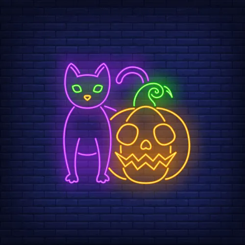 Scary Pumpkin Cat Neon Sign - Custom Shot Glass Now