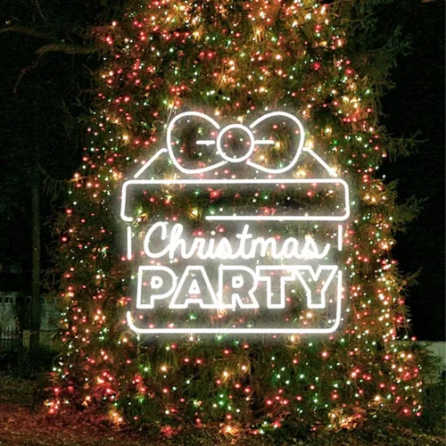 Christmas Party Gift Box Neon Sign - Custom Shot Glass Now
