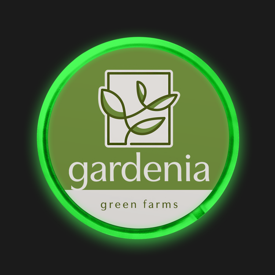 Light Button Pins - Custom Shot Glass Now