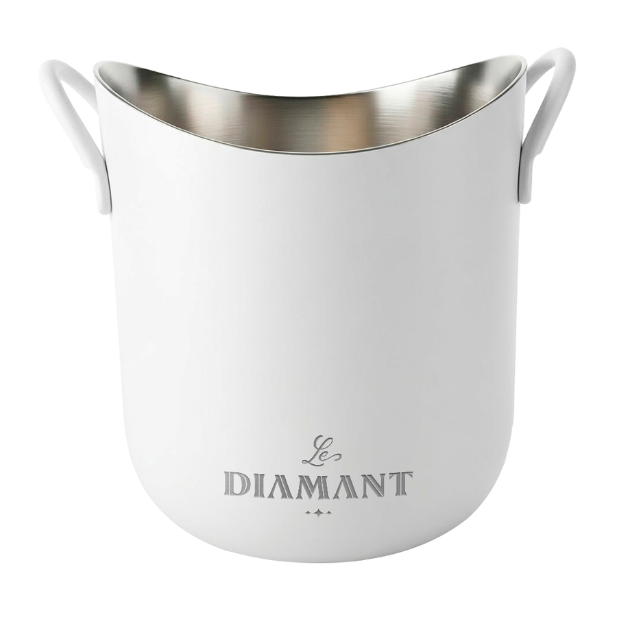 Stainless Steel Party Buckets - Custom Shot Glass Now